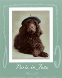 A Pooch in Paris