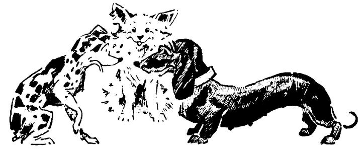 Dog Breeds PowWow