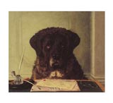 Stylish Funny Dog Pictures