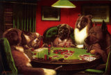 Card Game Dog Breed Pictures