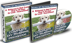 DIY Dog Training