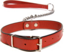 Dog Training Collar & Leash