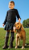 Dog Training Leashes for Control
