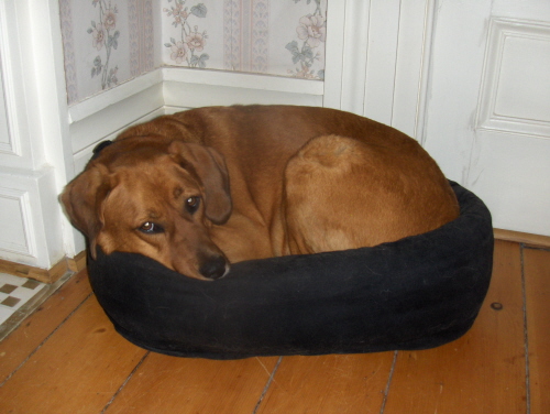 Either This Bed's Shrinking or I'm Gaining Weight!