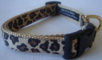 Nylon dog training collars