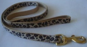 Personalized nylon dog leashes
