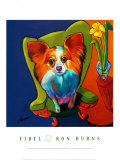 Flashy Pooch Flashy Pooch