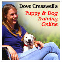 Puppy & Dog Training Online
