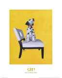 Picture of Dog Sitting