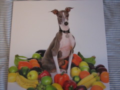 Good Dog Health With Balanced Dog Nutrition