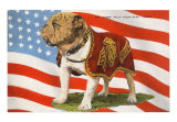 Marine Corps Buddy