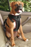 Vehicle Safety Dog Harness